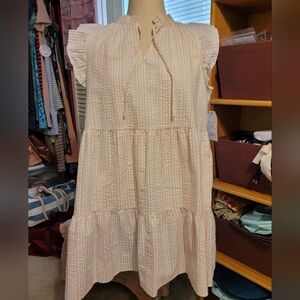 Time and Tru Seersucker Dress